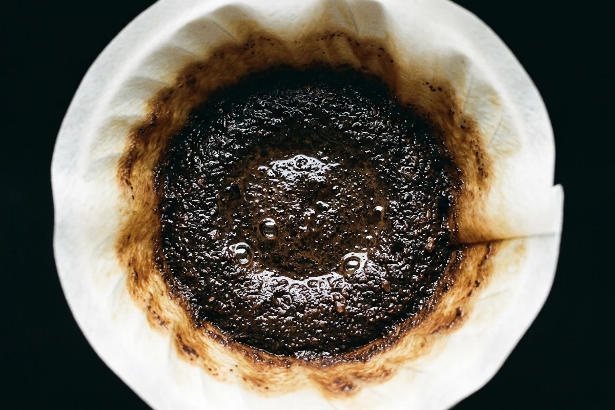 Looking straight down into a paper filter cone after brewing: a saturated, glossy bed of spent coffee grounds with beads of water still standing on the surface, the paper stained brown where it is wet.